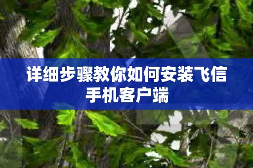 详细步骤教你如何安装飞信手机客户端图片