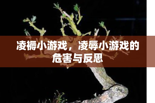 凌褥小游戏,凌辱小游戏的危害与反思 凌褥小游戏,凌辱小游戏的危害与反思