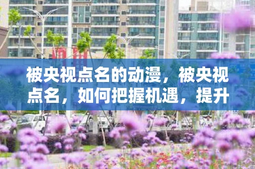 被央视点名的动漫，被央视点名，如何把握机遇，提升个人或品牌影响力