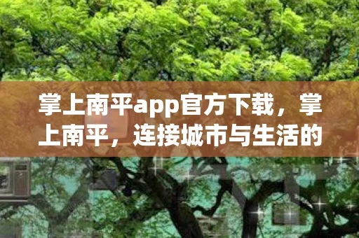 掌上南平app官方下载，掌上南平，连接城市与生活的数字化桥梁