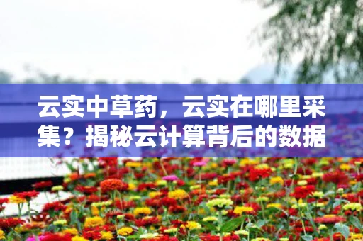 云实中草药，云实在哪里采集？揭秘云计算背后的数据之旅