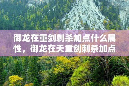 御龙在重剑刺杀加点什么属性，御龙在天重剑刺杀加点攻略
