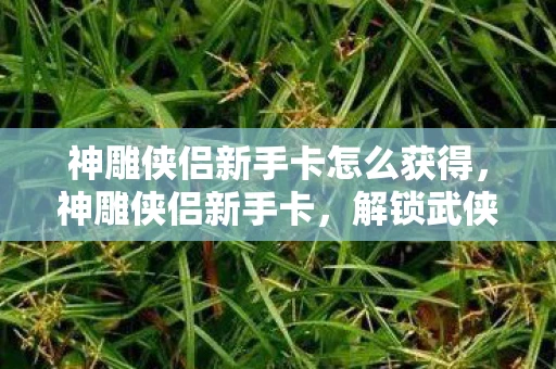 神雕侠侣新手卡怎么获得，神雕侠侣新手卡，解锁武侠世界的神秘钥匙