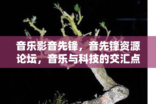 音乐影音先锋，音先锋资源论坛，音乐与科技的交汇点