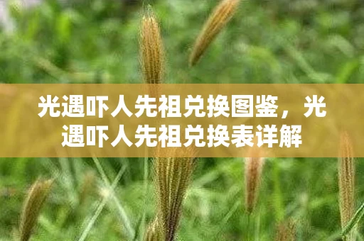 光遇吓人先祖兑换图鉴，光遇吓人先祖兑换表详解