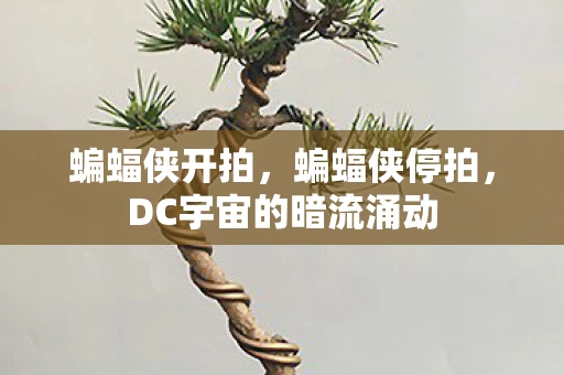蝙蝠侠开拍，蝙蝠侠停拍，DC宇宙的暗流涌动