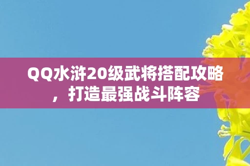 QQ水浒20级武将搭配攻略图片