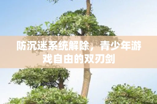 防沉迷系统解除，青少年游戏自由的双刃剑