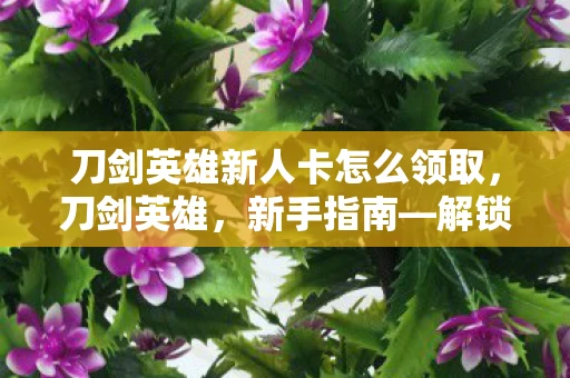 刀剑英雄新人卡怎么领取，刀剑英雄，新手指南—解锁你的英雄之路
