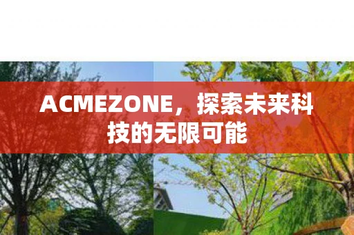 ACMEZONE，探索未来科技的无限可能