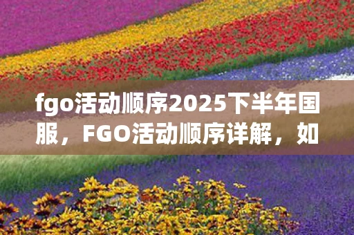 fgo活动顺序2025下半年国服，FGO活动顺序详解，如何规划你的英灵养成之路