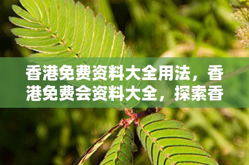 香港免费资料大全用法,香港免费会资料大全,探索香港的免费资源与文化 香港免费资料大全用法,香港免费会资料大全,探索香港的免费资源与文化