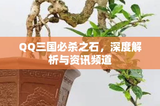 深度解析与资讯频道图片