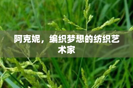 阿克妮，编织梦想的纺织艺术家