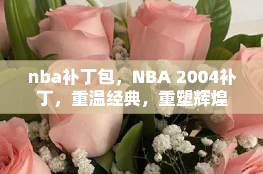 nba补丁包，NBA 2004补丁，重温经典，重塑辉煌