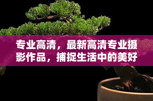 专业高清,最新高清专业摄影作品,捕捉生活中的美好瞬间 专业高清,最新高清专业摄影作品,捕捉生活中的美好瞬间