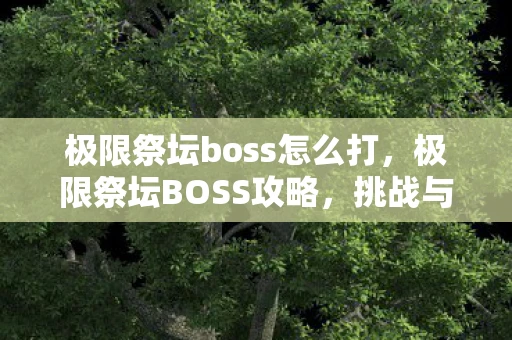 极限祭坛boss怎么打，极限祭坛BOSS攻略，挑战与胜利的秘诀