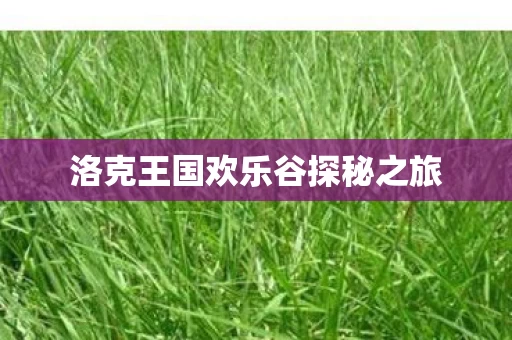 洛克王国欢乐谷探秘之旅图片