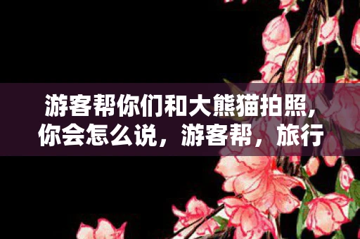 游客帮你们和大熊猫拍照,你会怎么说，游客帮，旅行中的温暖与互助