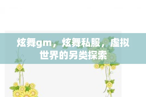 炫舞gm，炫舞私服，虚拟世界的另类探索