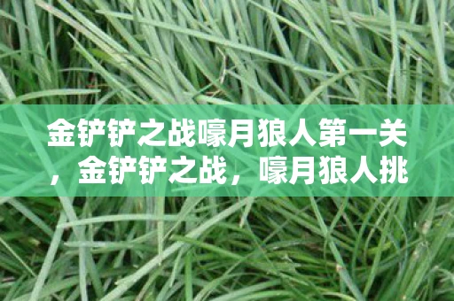 金铲铲之战嚎月狼人第一关,金铲铲之战,嚎月狼人挑战全解析 金铲铲之战嚎月狼人第一关,金铲铲之战,嚎月狼人挑战全解析