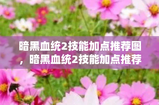 暗黑血统2技能加点推荐图，暗黑血统2技能加点推荐，打造最强战士