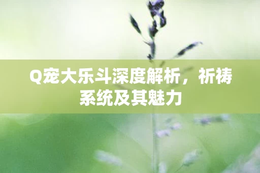 Q宠大乐斗深度解析图片