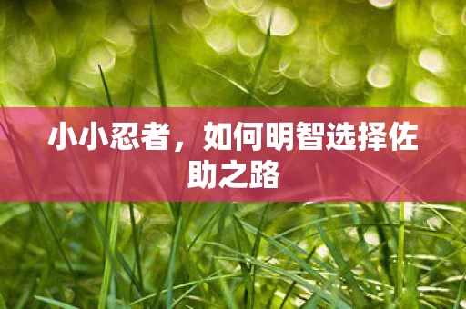 如何明智选择佐助之路图片