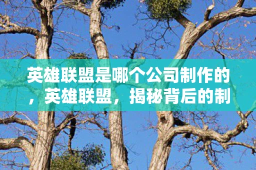 英雄联盟是哪个公司制作的，英雄联盟，揭秘背后的制作团队