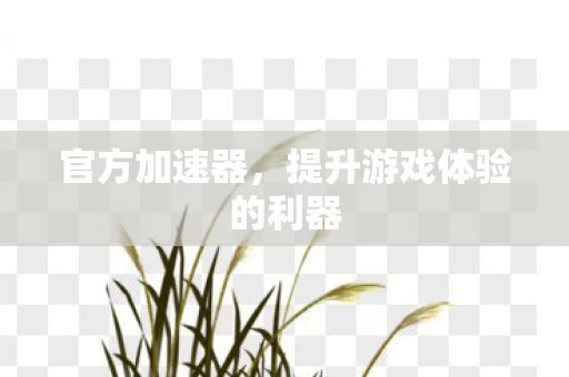 官方加速器，提升游戏体验的利器