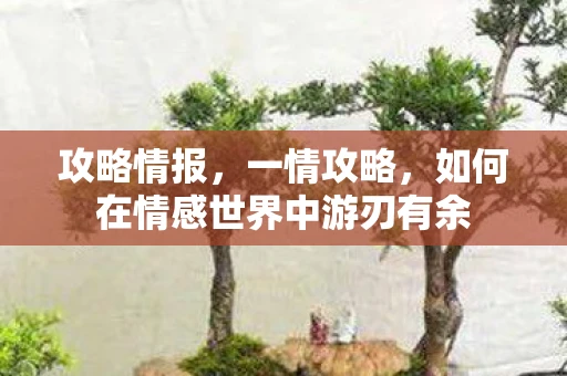 攻略情报，一情攻略，如何在情感世界中游刃有余