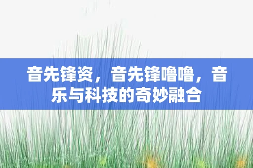 音先锋资，音先锋噜噜，音乐与科技的奇妙融合