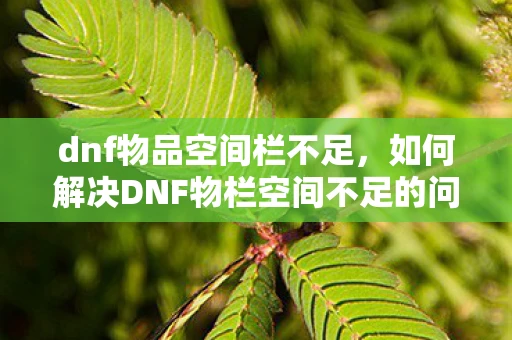 dnf物品空间栏不足,如何解决DNF物栏空间不足的问题 dnf物品空间栏不足,如何解决DNF物栏空间不足的问题