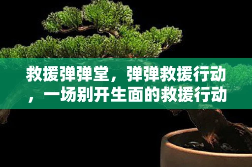 救援弹弹堂,弹弹救援行动,一场别开生面的救援行动 救援弹弹堂,弹弹救援行动,一场别开生面的救援行动