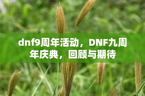 dnf9周年活动，DNF九周年庆典，回顾与期待