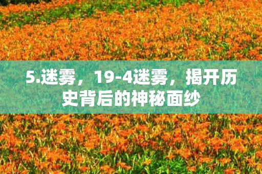 5.迷雾，19-4迷雾，揭开历史背后的神秘面纱
