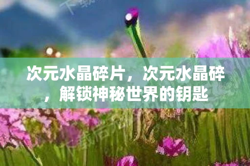 次元水晶碎片,次元水晶碎,解锁神秘世界的钥匙 次元水晶碎片,次元水晶碎,解锁神秘世界的钥匙