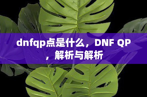 dnfqp点是什么，DNF QP，解析与解析