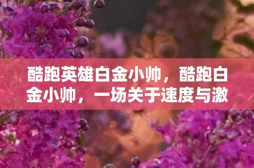 酷跑英雄白金小帅，酷跑白金小帅，一场关于速度与激情的冒险