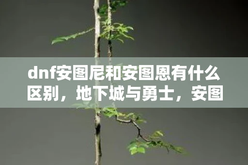 dnf安图尼和安图恩有什么区别，地下城与勇士，安图尼的传奇冒险