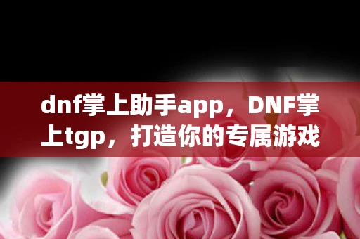 dnf掌上助手app,DNF掌上tgp,打造你的专属游戏神器 dnf掌上助手app,DNF掌上tgp,打造你的专属游戏神器