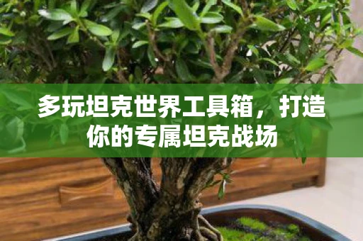 多玩坦克世界工具箱，打造你的专属坦克战场