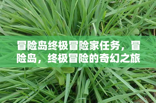 冒险岛终极冒险家任务，冒险岛，终极冒险的奇幻之旅