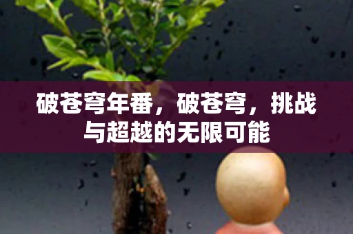 破苍穹年番,破苍穹,挑战与超越的无限可能 破苍穹年番,破苍穹,挑战与超越的无限可能
