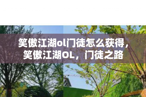 笑傲江湖ol门徒怎么获得，笑傲江湖OL，门徒之路