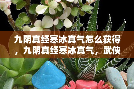 九阴真经寒冰真气怎么获得，九阴真经寒冰真气，武侠世界中的绝世神功