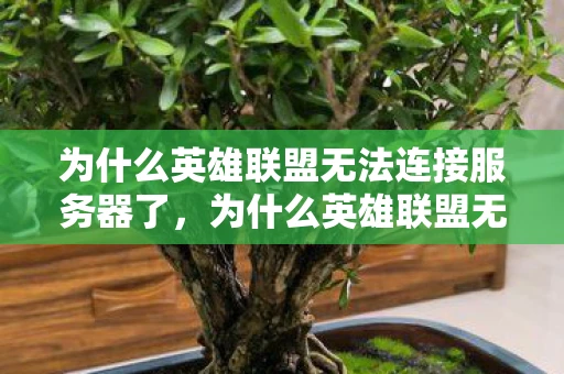 为什么英雄联盟无法连接服务器了,为什么英雄联盟无法连接服务器 为什么英雄联盟无法连接服务器了,为什么英雄联盟无法连接服务器