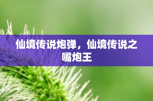 仙境传说炮弹,仙境传说之嘴炮王 仙境传说炮弹,仙境传说之嘴炮王