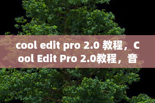 cool edit pro 2.0 教程，Cool Edit Pro 2.0教程，音频编辑的必备工具