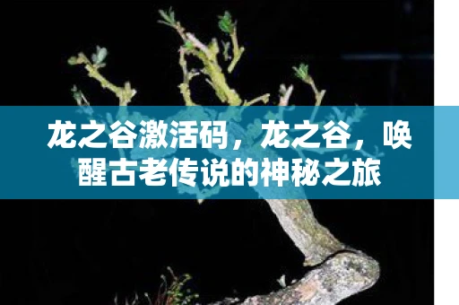 龙之谷激活码，龙之谷，唤醒古老传说的神秘之旅